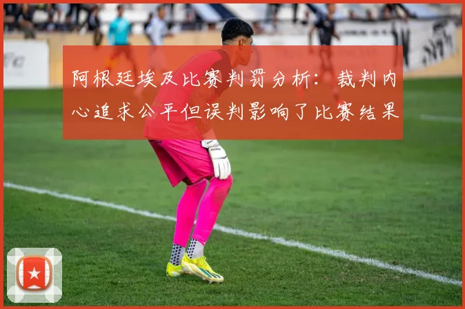 阿根廷埃及比赛判罚分析：裁判内心追求公平但误判影响了比赛结果