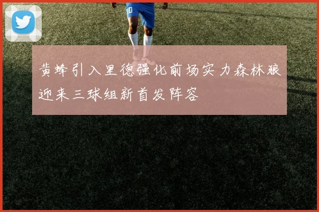 黄蜂引入里德强化前场实力森林狼迎来三球组新首发阵容