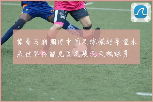 蒙哥马利期待中国足球崛起希望未来世界杯能见国足展现天赋球员